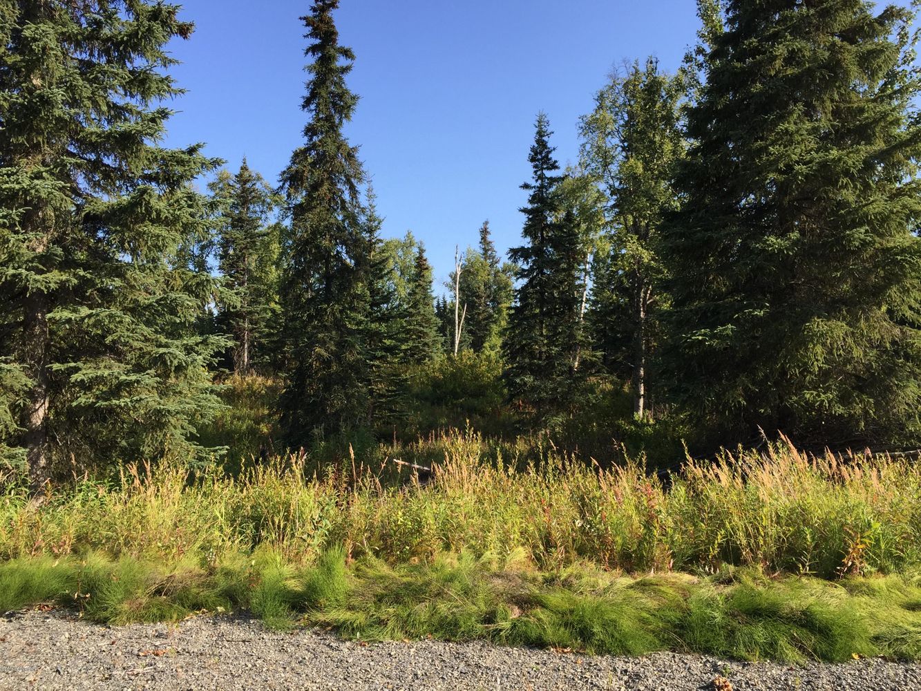 63747 Oil Well Rd, Ninilchik, AK 99639